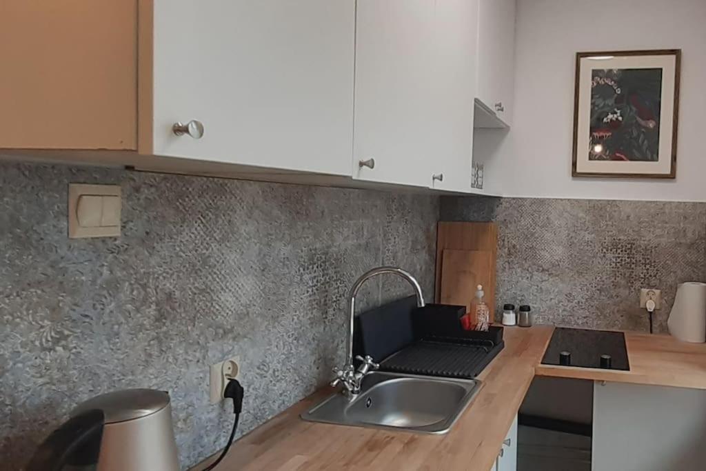 Lemuria Apartament Szkolna Centrum Legnica Kültér fotó