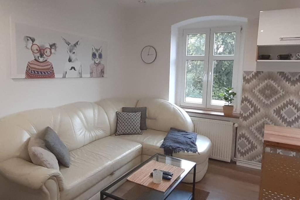 Lemuria Apartament Szkolna Centrum Legnica Kültér fotó